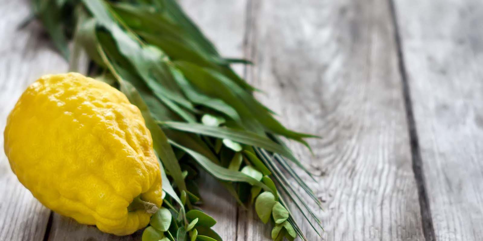 Sukkot