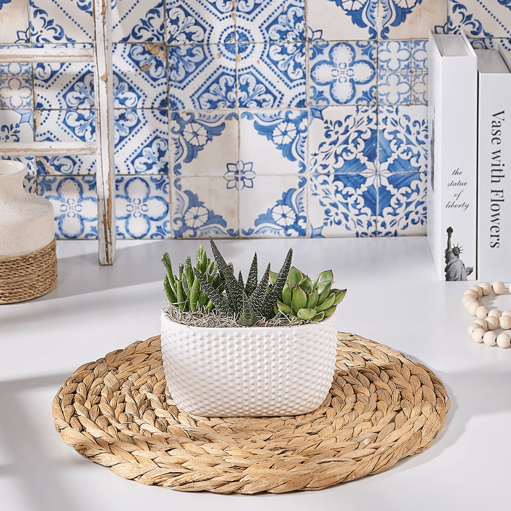 Modern Narrow Planter Gift, plant gift, plant, succulent gift, succulent, US delivery