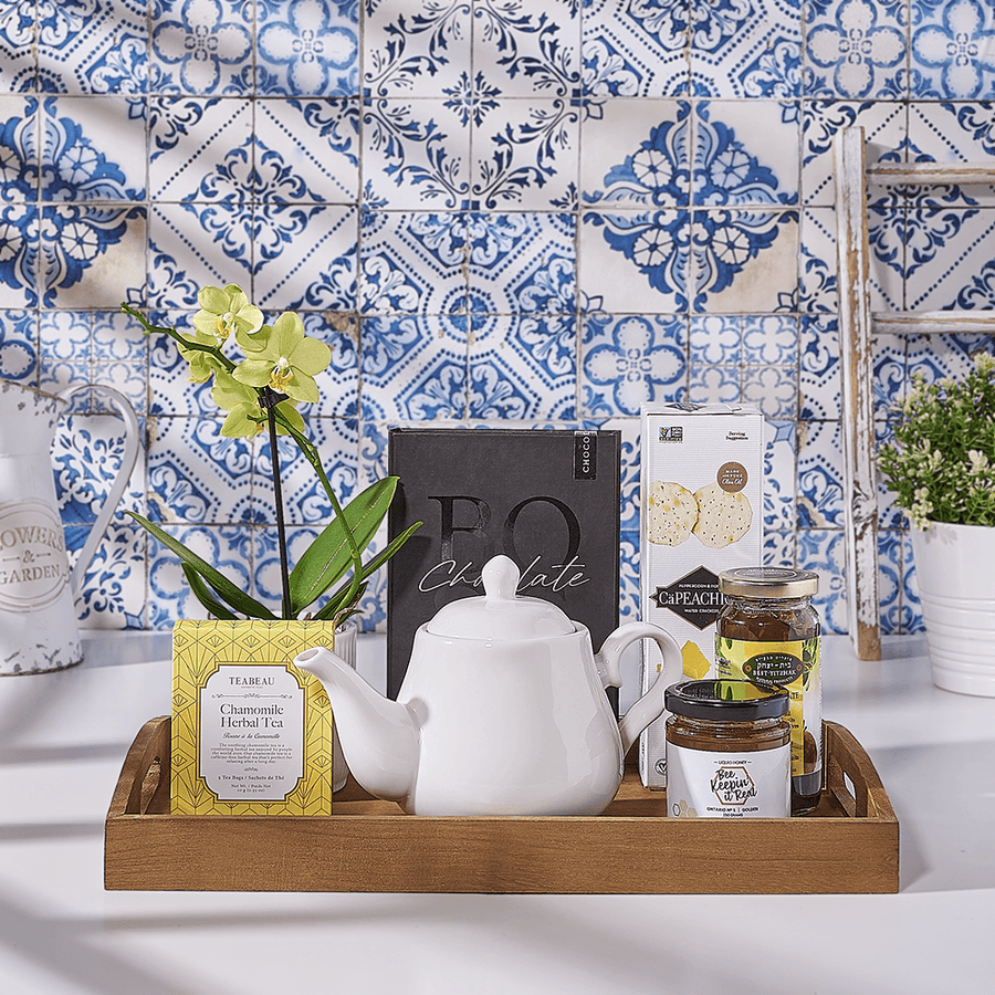 Passover Orchid & Tea Set, kosher gift, kosher, plant gift, plant, chocolate gift, chocolate, tea gift, tea, USA delivery