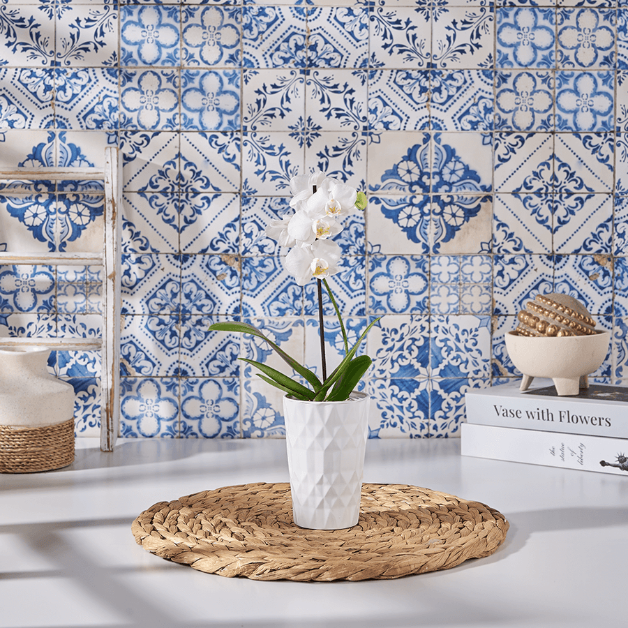 Petite White Orchid Gift, orchid gift, orchid, plant gift, plant, flower gift, flower, US delivery