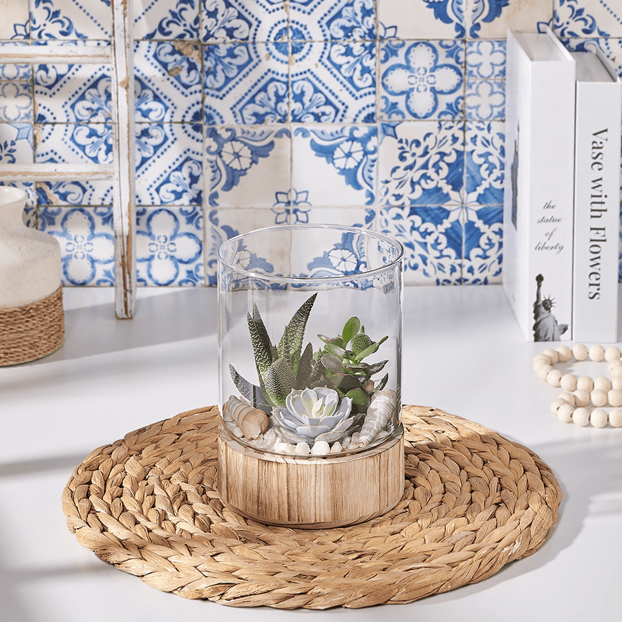 Succulent Garden Gift, succulent gift, succulent, plant gift, plant, US delivery