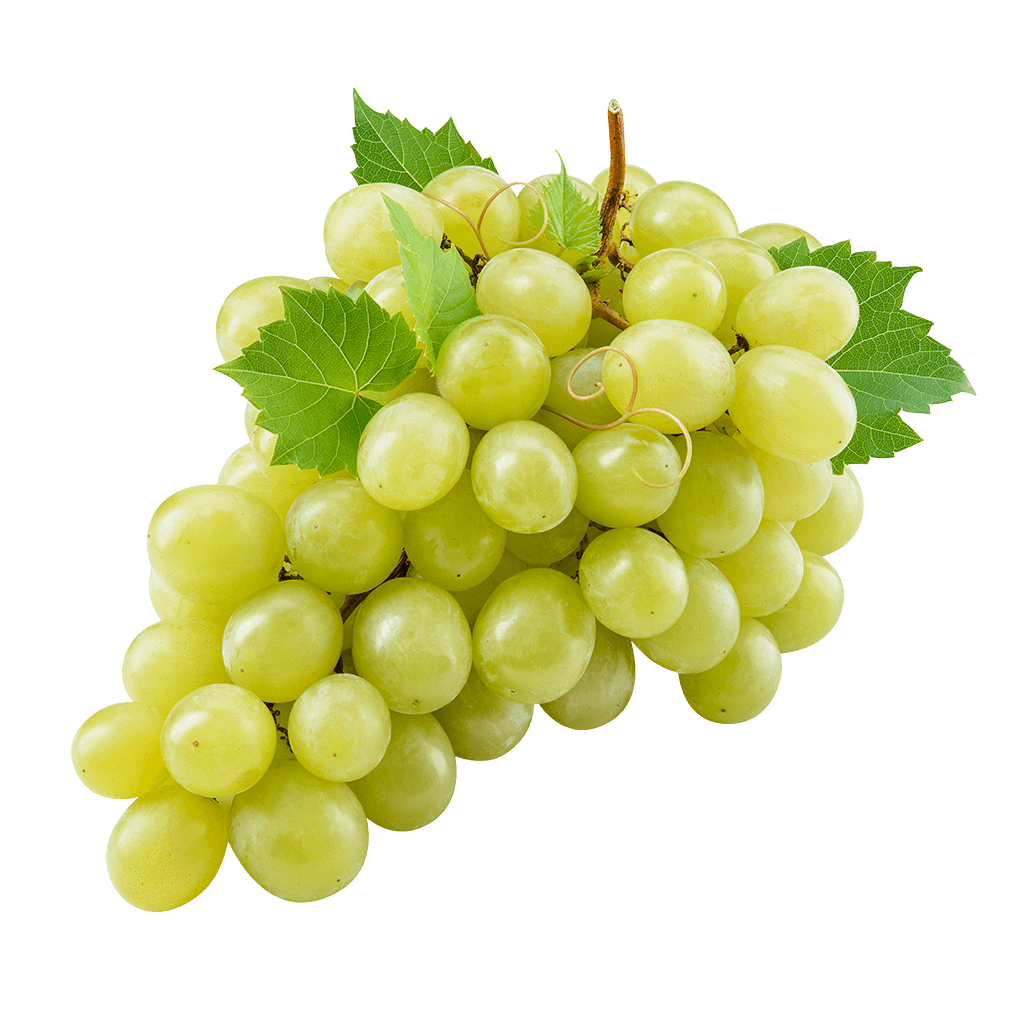 Grapes