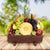 The Grand Fruit Basket